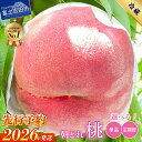 【ふるさと納税】2026年発送 先行予約 ふるさと納税 もも 桃 モモ 【 楽天限定 】 数量限定 期間限定 選べる お届け回数 定期便 約1kg 約2kg 送料無料 高レビュー 新鮮 朝どれ くだもの フルーツ 産地直送 送料無料 果物 大玉 白鳳 白桃 富士吉田市 ふるさと納税 ランキング