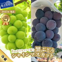 【ふるさと納税】 送料無料 シャインマスカット 黒ぶどう ふるさと納税 1kg以上 セット 2種 食べ比べ 山梨県 富士吉田市 フルーツ 果物 ぶどう ふるさと...
