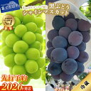 【ふるさと納税】 シャインマスカット 黒ぶどう 1kg以上 2種 食べ比べ セット ふるさと納税 山梨県 富士吉田市 フルーツ 厳選 果物 産地直送 数量限定 2026年 先行予約 シャイン マスカット ぶどう 詰め合わせ ふるさと納税 マツコの知らない世界 テレビで紹介 送料無料