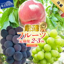 【ふるさと納税】 ふるさと納税 定期便 フルーツ 桃 シャインマスカット 黒ぶどう 選べる回数 2回 3回 白鳳 白桃 もも 大玉 ブドウ 1房 500g以上 ...