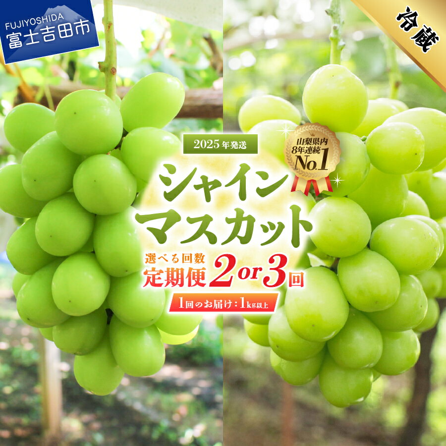 【ふるさと納税】 シャインマスカット 定期便 選べる お届け回数 2回 3回 1kg以上 フルーツ ぶどう 山梨県産 シャイン マスカット 新鮮 厳選 濃厚 甘さ 香り 果物 くだもの マツコの知らない世界 テレビで紹介 富士吉田市 【2025年発送】