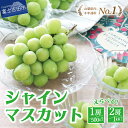 【ふるさと納税】 シャインマスカット 数量限定 選べる内容量 お試し 500g 1kg以上 選べるお届け回数 2回 3回 定期便 期間限定 送料無料 フルーツ ...