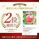 山梨県富士吉田市の画像3