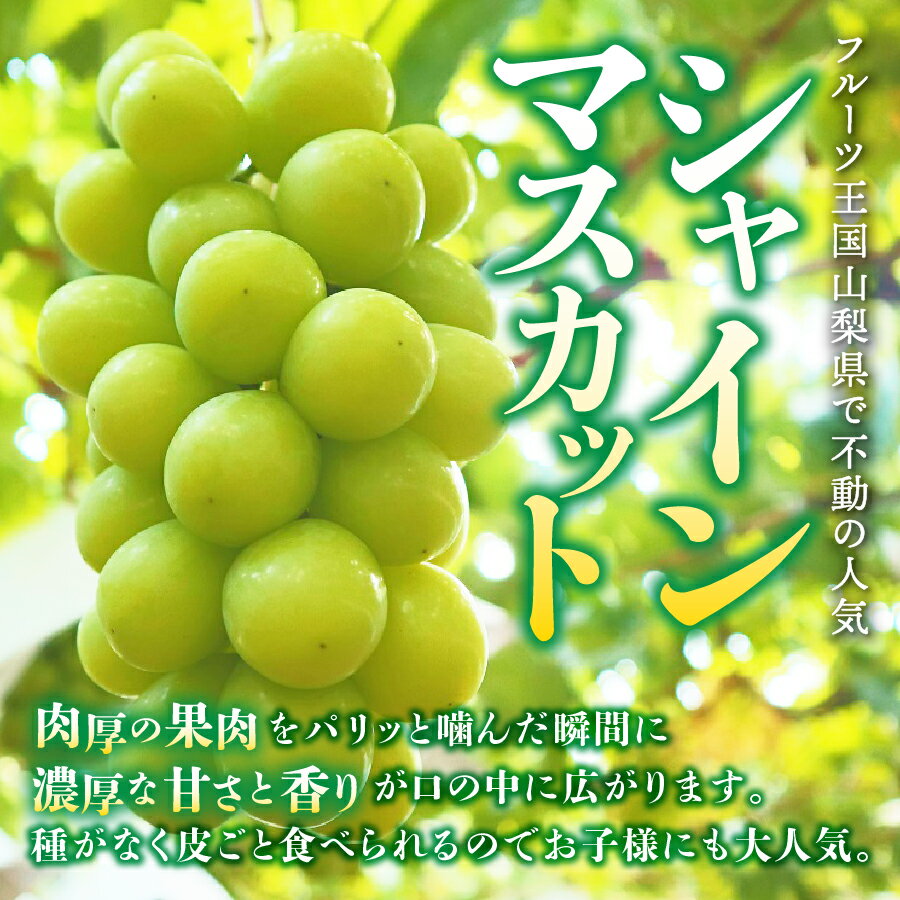 【ふるさと納税】2024年 先行予約 シャインマスカット 黒ぶどう 巨峰 セット 山梨県産 富士吉田市 計約1kg フルーツ ぶどう 富士吉田 2種 食べ比べ 果物 厳選 産地直送 先行予約 数量限定