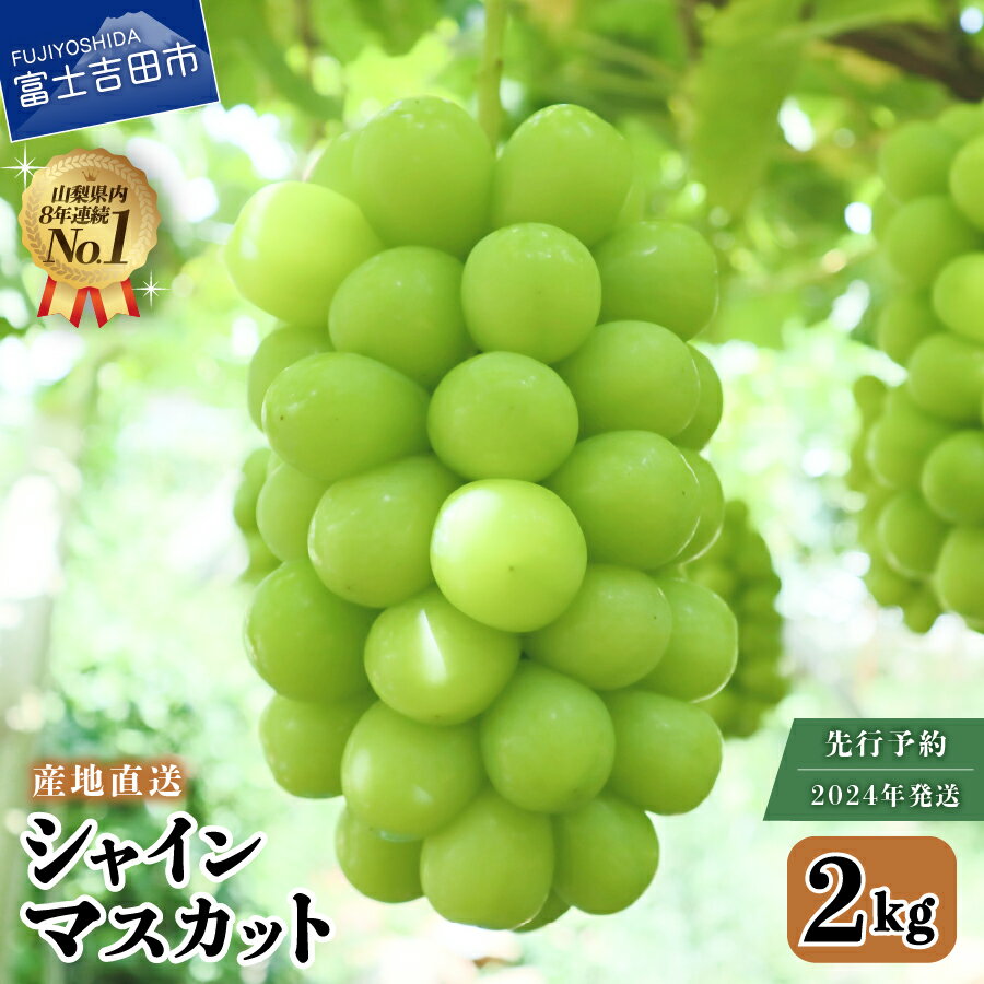 【ふるさと納税】 シャインマスカット 山梨 2kg フルーツ ぶどう 果物 くだもの 葡萄 富士吉田市 山梨県 産地直送のサムネイル