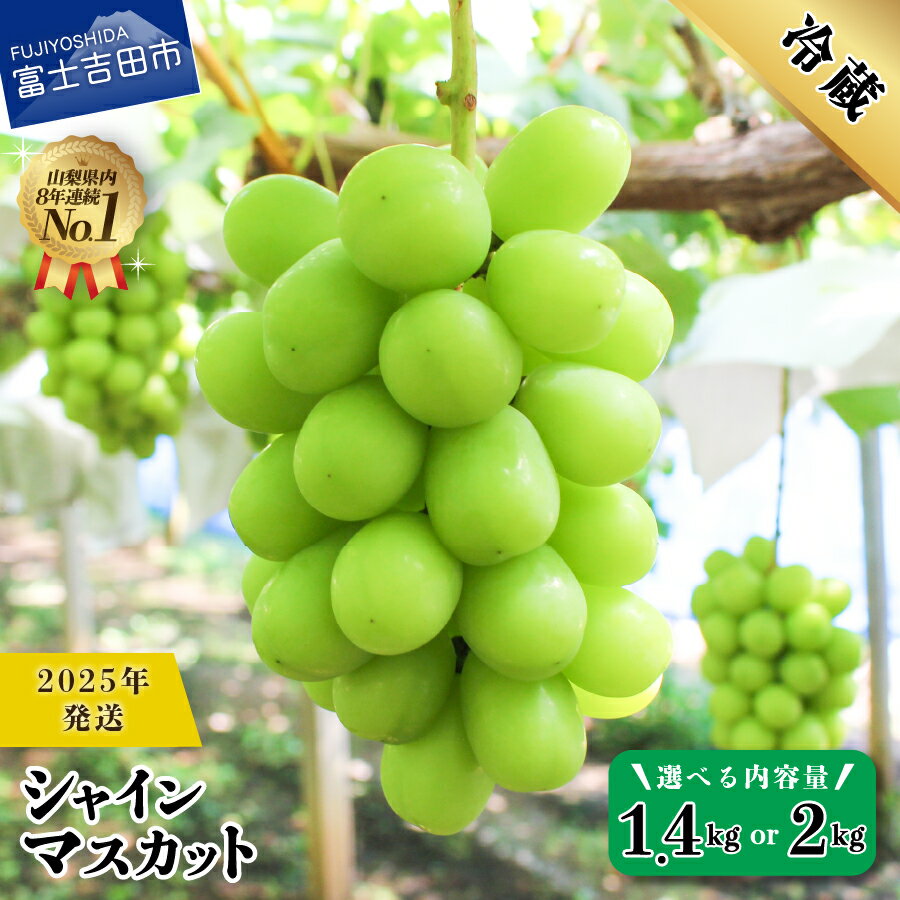 【ふるさと納税】 シャインマスカット 選べる容量 約1.4kg 約2.0kg 2~4房 高級 ぶどう フルーツ 数量限定 期間限定 山梨県産 富士吉田市 葡萄 種なし ブドウ 富士吉田 果物 くだもの シャイン フルーツ王国 2025年 冷蔵 送料無料 高レビューのサムネイル