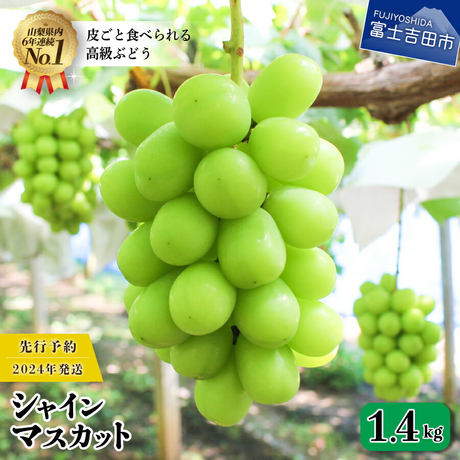 【ふるさと納税】 数量限定 シャインマスカット 2〜3房 1.4kg 山梨県産 高級 ブドウ フルーツ 果物 マスカットのサムネイル
