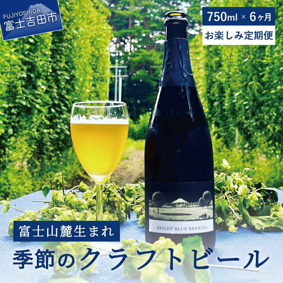 12位! 口コミ数「0件」評価「0」 定期便 お楽しみ 6回 ビール クラフトビール 750ml 季節のクラフトビール シャンパンボトル ワイングラスで飲む BRIGHT BL･･･ 