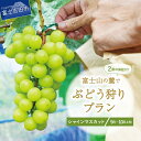 【ふるさと納税】 シャインマスカット ブドウ狩りプラン 2房 保証付き 収穫 体験 9月～10月上旬 ...