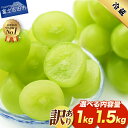 【ふるさと納税】2026年 先行予約 シャインマスカット 訳あり 選べる容量 1kg 2~3房 1.5kg 3~4房 山梨県産 ぶどう 種なし シャイン マスカット ご家庭用 フルーツ 果物 くだもの 送料無料 高レビュー 産地直送 葡萄 2房 3房 4房 高評価 不揃い ふるさと納税 ランキング