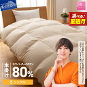【ふるさと納税】限定企画 羽毛布団 軽量本掛け ちょうどいい 厚み シングル 選べる 配送月 アイボリー 数量限定 軽い エコロジー ダウン 冬 暖かい ループ...