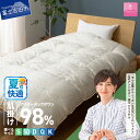 【ふるさと納税】 夏用 羽毛布団 掛け布団 肌掛け アイダーダウン シルクジャガード 選べるサイズ シングル セミダブル ダブル クイーン キング 日本製 シルク100% アイボリー 手選別 アイダーダックダウン98% 肌掛けふとん 薄手タイプ 布団 寝具 国産 【甲州羽毛ふとん】