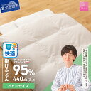 【ふるさと納税】 夏用 羽毛布団 掛け布団 ゴールドラベル ベビーサイズ 日本製 本掛け ポーランドホワイトマザーグースダウン 95% 子供用 ベビー用 赤ちゃん 95×120 専用カバー付き 布団カバー 寝具 ふとん セット 国産 ベッド 暖かい 【甲州羽毛ふとん】