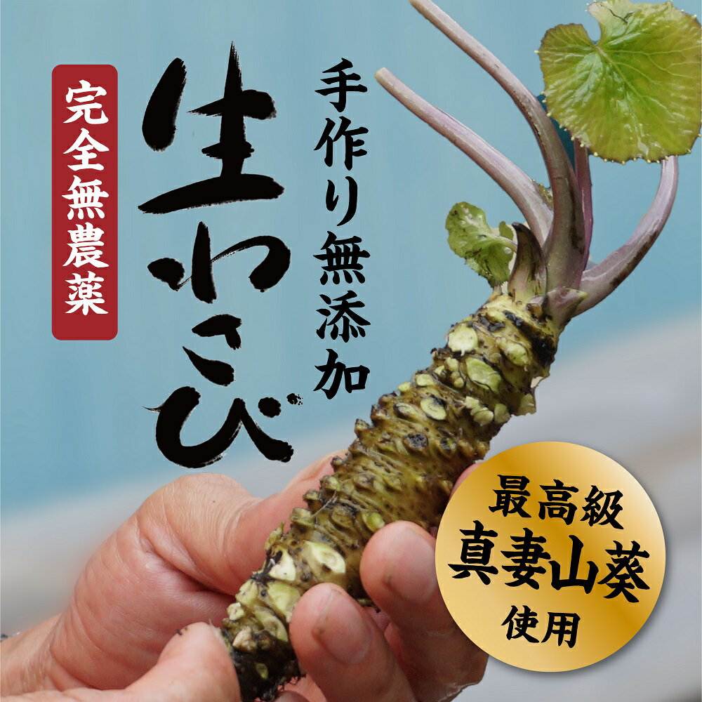 【ふるさと納税】菊地わさび園自慢のこだわり無農薬わさびセット|わさび ワサビ 山葵 わさびめし 小袋 無添加 無農薬 本わさび 菊地わさび園 食べ比べ お試し セット ご飯 白米 肉 牛肉 送料無料