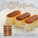 【ふるさと納税】半熟チーズケーキ1箱（10個入り）｜スイーツ ケーキ お菓子 洋菓子 送料無料 プレゼント 贈り物 ギフト 父の日 母の日 誕生日 記念日 内祝い お中元 お土産 出産祝い 山梨