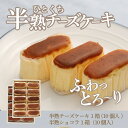 【ふるさと納税】半熟チーズケーキ1箱・半熟ショコラ1箱（各10個入り）｜スイーツ ケーキ お菓子 洋菓子 送料無料 プレゼント 贈り物 ギフト 父の日 母の日 誕生日 記念日 内祝い お中元 お土産 出産祝い 山梨