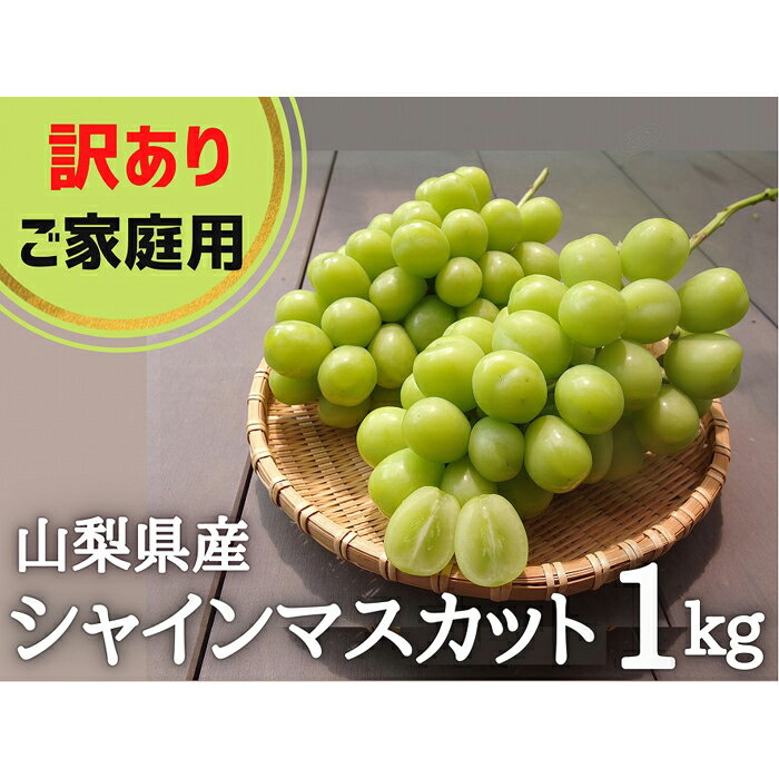 【ふるさと納税】訳あり シャインマスカット 1kg ご家庭用 山梨県産【味や品質には問題なし】朝採れ 葡萄 ぶどう やまなし 旬 送料無料 ※2021年9～10月発送予定