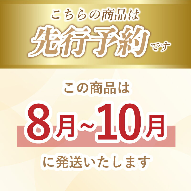 【ふるさと納税】【2024年 先行予約】山梨県産　種なしピオーネ2房(約1.0Kg） | 8月中旬以降お届け 送料無料 山梨 やまなし ブドウ 葡萄 ピオーネ 新鮮！甘い！美味しい！ジューシー！朝採れ！【冷蔵】