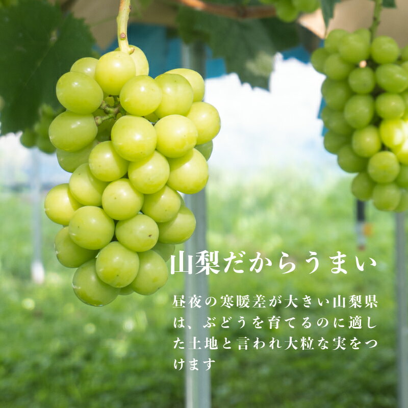 山梨県都留市の画像3