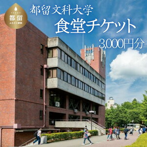 【ふるさと納税】都留文科大学　食堂チケット【3,000円分】| 食堂 大学 入学 ランチ ごはん ご飯 学食 学生 懐かしい 都留 山梨 やまなし 山梨県 おすすめ 都留文 都留文大