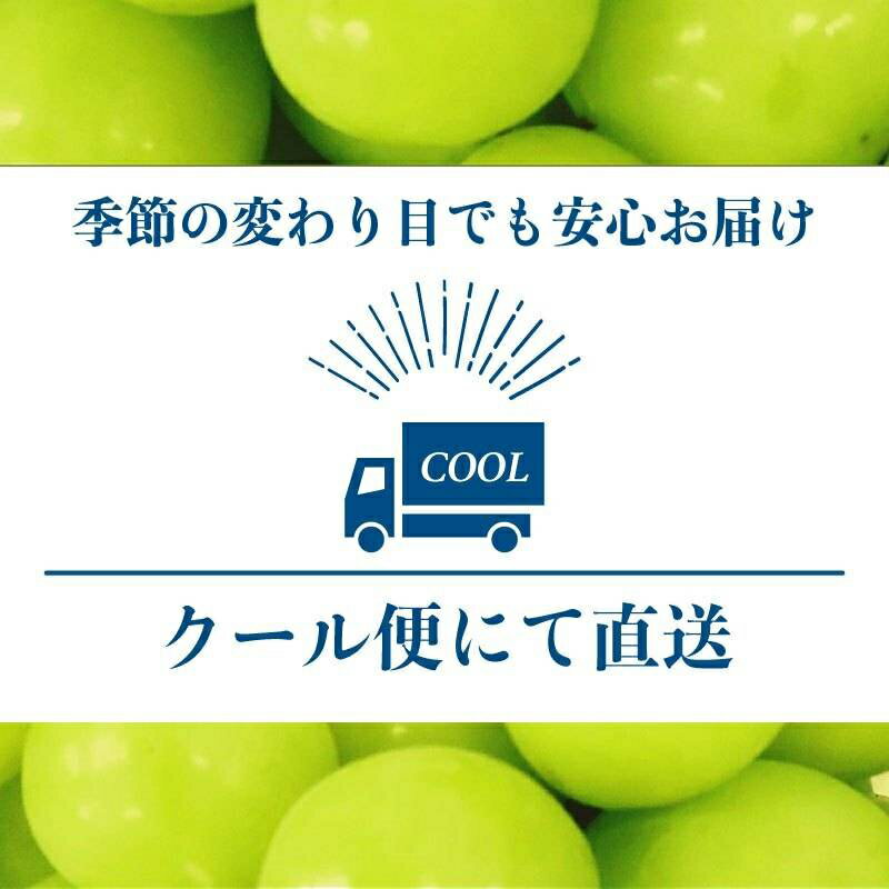 山梨県都留市の画像3