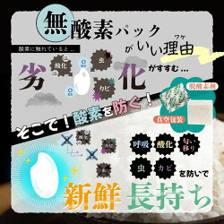 【ふるさと納税】【災害用備蓄】「都留市の恩返し米」2合×3個　無酸素パック 画像2