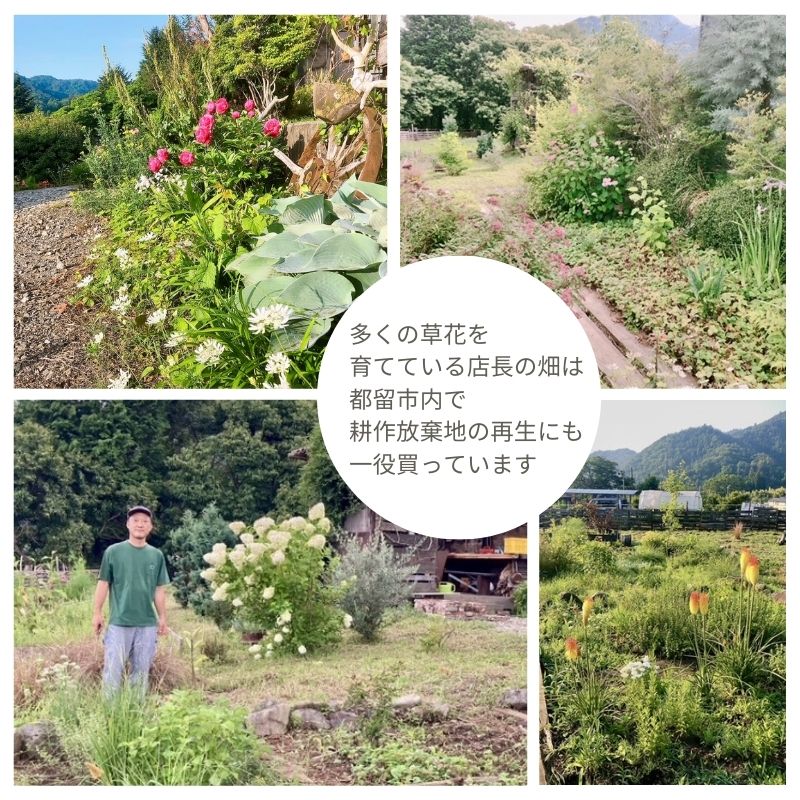 山梨県都留市の画像3