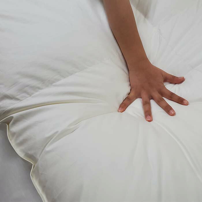 【ふるさと納税】【ポーランド産マザーグース93％】羽毛布団 羽毛掛け布団 セミダブル170×210cm【ダウンパワー410】羽毛ふとん 羽毛掛けふとん 綿100％ 立体キルト