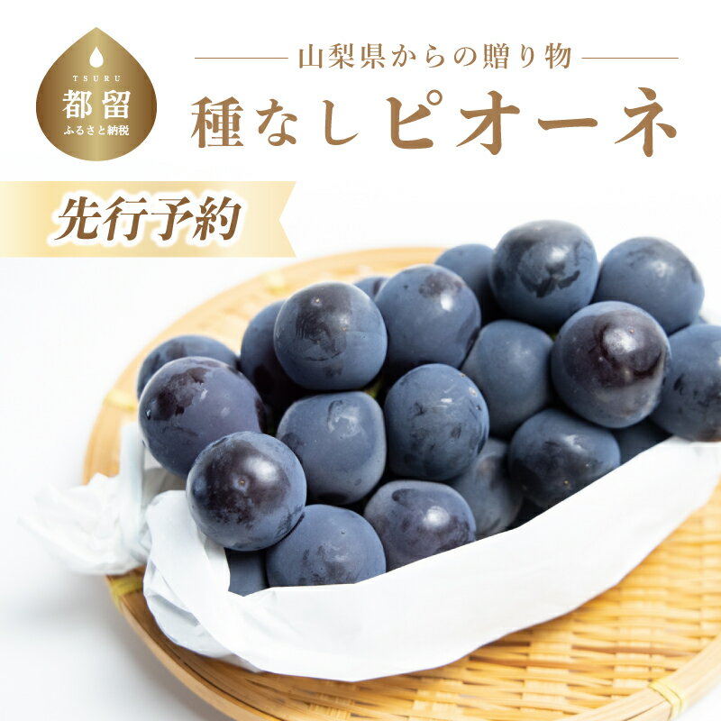 【ふるさと納税】【2024年 先行予約】山梨県産 種なしピオーネ2房(約1.0Kg） 8月中旬以降お届け 送料無料 山梨 やまなし ブドウ 葡萄 ピオーネ 新鮮！甘い！美味しい！ジューシー！朝採れ！【冷蔵】