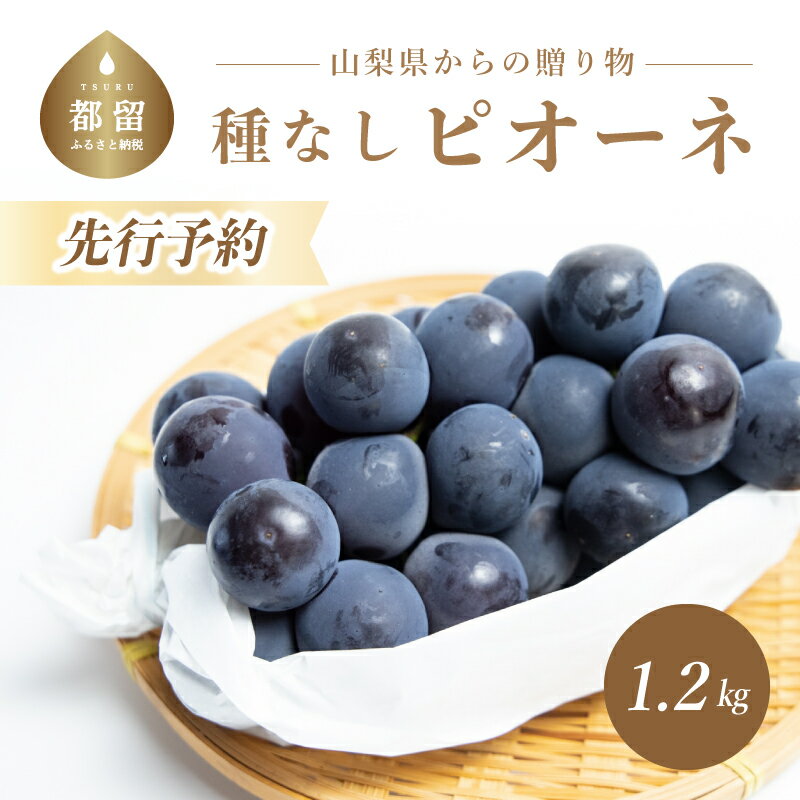 【ふるさと納税】【2022年 先行予約】山梨県産 農家直送！種なしピオーネ2房(約1.2Kg）数量限定 | 8月中旬以降お届け 送料無料 山梨 やまなし ブドウ 葡萄 ピオーネ 新鮮！甘い！美味しい！ジューシー！朝採れ！【冷蔵】･･･