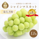 【ふるさと納税】【2022年 先行予約】山梨県産 朝採れ！シャインマスカット 1.1kg (2房～3房) 数量限定 送料無料 山梨 ぶどう シャイン やまなし 2022年発送 新鮮 楽天ランキング1位･･･