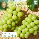 【ふるさと納税】【2026年先行予約!】山梨県産 シャインマスカット 選べる500g以上 ~3.0kg ||【厳選】 送料無料 山梨 ぶどう シャイン やまなし 新鮮 農家直送 都留市 種なしブドウ マスカット 【冷蔵】