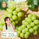【ふるさと納税】【2025年 先行予約】山梨県産 シャインマスカット 500g以上 or 1.1kg or 2.0kg ||【厳選】 送料無料 山梨 ぶどう シャイン やまなし 新鮮 農家直送 都留市 種なしブドウ マスカット 【冷蔵】