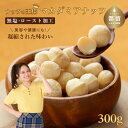 【ふるさと納税】厳選!都内高級レストランで使用品質! マカダミアナッツ|300g/600g/1000g 選べる仕様 送料無料 無塩 素焼き ナッツ ナッツ類 自...