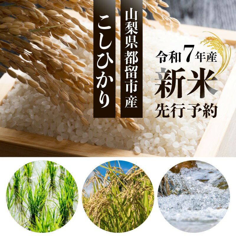 ڤդ뤵Ǽǡۡ7ǯơͽۻαԻҤ[٤5kg10kg]|  α Ҥ ٻ  Ǵ ...