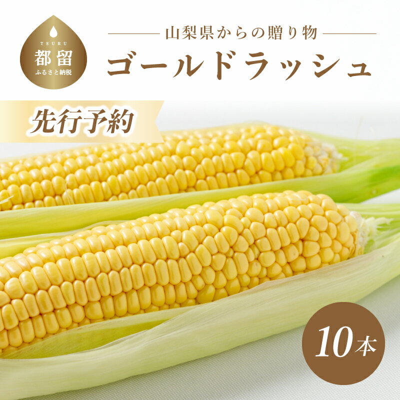 【ふるさと納税】【2024年 先行予約】山梨県都留市産 ゴールドラッシュ 10～12本｜新鮮 農家からもぎたて直送 鮮度抜群 道の駅で大人気！ とうもろこし トウモロコシ 美味しい 炭野菜