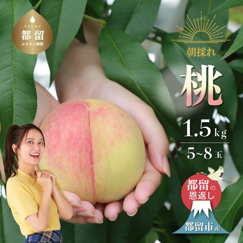 61位! 口コミ数「3件」評価「4」【2026年 先行予約】日本一の産地 山梨県産　朝採れ桃約 1.5kg以上 (5〜7玉）| 山梨県 都留市産 都留の桃 数量限定 産地直送 山梨直送 送料無料　桃　モモ　もも