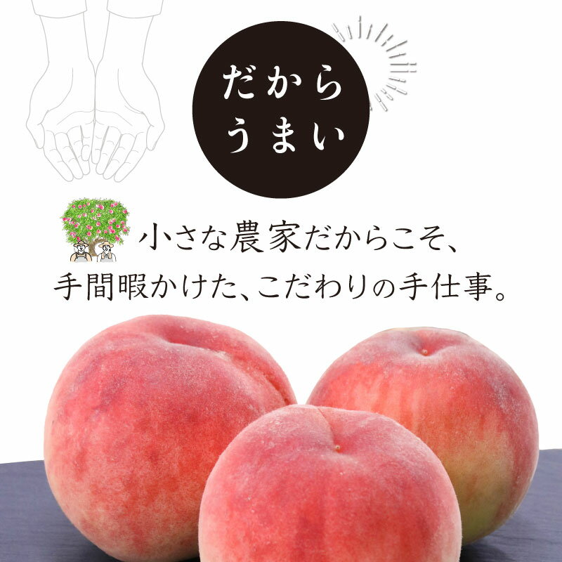 山梨県都留市の画像2