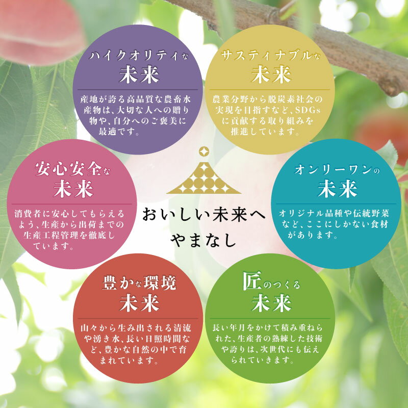 山梨県都留市の画像3