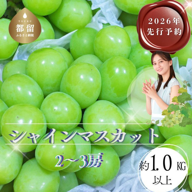 27位! 口コミ数「9件」評価「4.89」【2026年 先行予約】山梨県都留市産 朝採れ シャインマスカット 2〜3房（約1.0kg以上）｜ 数量限定 送料無料 山梨 ぶどう シャイン やまなし 新鮮 農家直送 都留市 種なしブドウ マスカッ･･･ 
