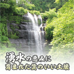 【ふるさと納税】てんこもり10kg（5kg×2袋）＜都留市産＞ ｜特別栽培米 入賞 米 コンクール 金賞受賞 農家直送 送料無料 ※有名グルメ漫画にも出た！一度は食べたい小俣さんの絶品米！ お米 ふっくら もちもち 厳選米 富士湧水･･･ 画像1