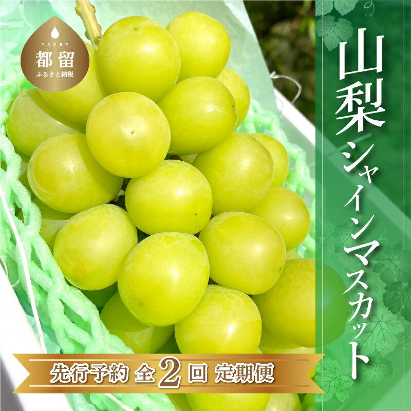 半額品 巨峰 山梨 フルーツ ギフト 果物 旬 ブドウ 500gx2房 葡萄 ぶどう お取り寄せ プレゼント 食べ物 8月中-9月上 半額品 巨峰 山梨 フルーツ ギフト 果物 旬 ブドウ 500gx2房 葡萄 ぶどう お取り寄せ プレゼント 食べ物 8月中-9月上