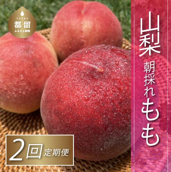 【数量限定!】【ふるさと納税】山梨県産桃 2kg相当×2回定期便 | 山梨 新鮮 桃　モモ　もも　 やまなし 2kg 送料無料 贈答 ギフト 贈り物 高品質 甘い お中元 安心のサムネイル