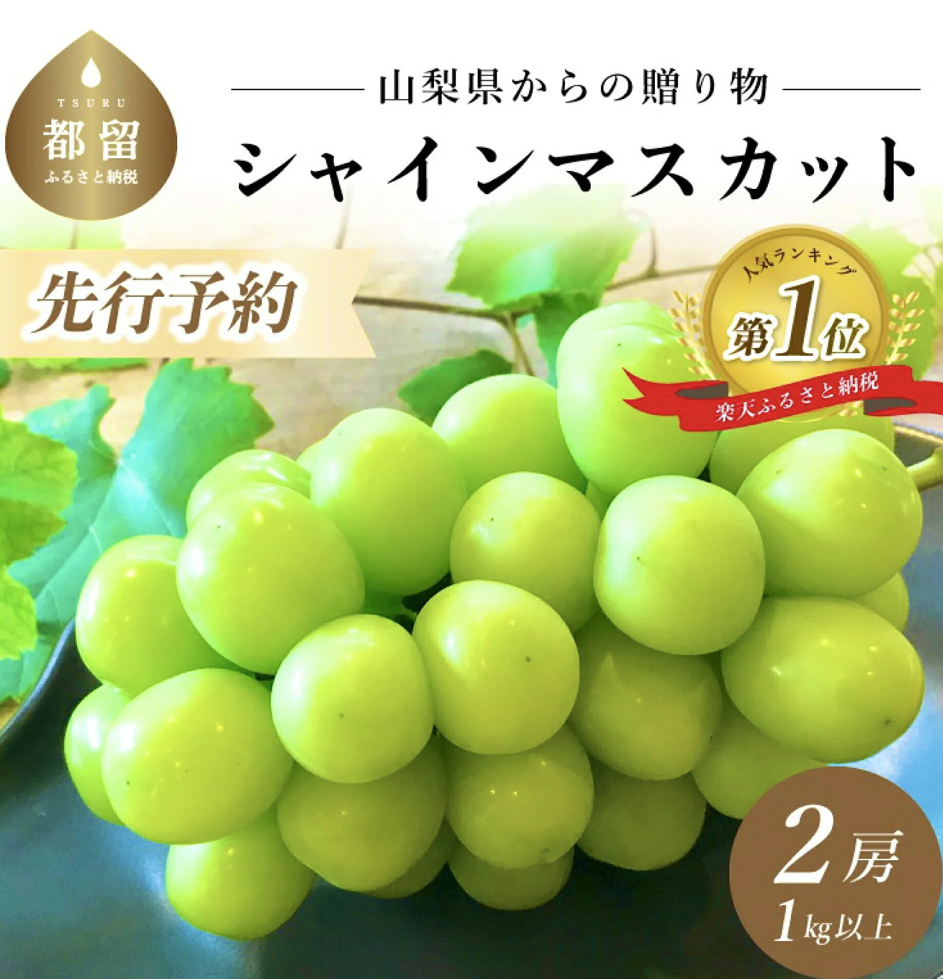 【ふるさと納税】【厳選！】山梨県産 シャインマスカット 2房 (1箱1kg以上！)｜ 送料無料 予約 くだもの 果物 フルーツ シャイン ブドウ ぶどう 葡萄 山梨 やまなし 山梨県 種なし 先行予約 新鮮 朝採れ！産地直送【冷蔵】･･･