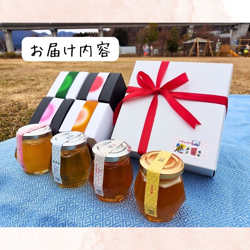 【ふるさと納税】日本みつばちの蜂蜜＋西洋みつばちの蜂蜜おまかせ4種セット 100g×4