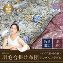 【ふるさと納税】【数量限定・訳あり】シングル/ダブル サイズが選べる! ホワイトダウン85% 羽毛合掛け布団【柄お任せ】【サンモト】|ダウンパワー350 国産 ...