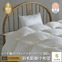 【ふるさと納税】シングル【プレミアムゴールドラベル】コウダ種 ポーランドマザーグース 95% 羽毛肌掛け布団【羽毛ファクトリーすやすや】| ダウンケット 肌掛け布団 羽毛ふとん ダウンパワー440dp 超長綿サテン サテン 立体キルト(3)