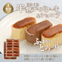 27位! 口コミ数「0件」評価「0」毎年定番人気！半熟チーズケーキ1箱・半熟ショコラ1箱（各12個入り）計24個【ならや】｜スイーツ ケーキ お菓子 洋菓子 送料無料 プレゼン･･･ 