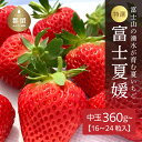 【ふるさと納税】【2024年 先行予約】山梨の夏いちご 富士夏媛 【中玉】16〜24粒入り(360g〜) ※ 画像は大粒（参考）です。苺のサイズで個数が変わります！【ユニファーム】｜※6月下旬から10月中旬ごろ発送 苺 イチゴ ギフト 果物 フルーツ いちご 甘い 農園直送