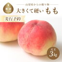 【ふるさと納税】【2022 先行予約】【2022年発送】山梨県産坂の上の桃 デカくて硬い食べ応え抜群！8～10個入り 送料無料 モモ